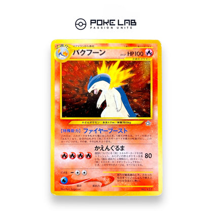 Typhlosion Holo NEO