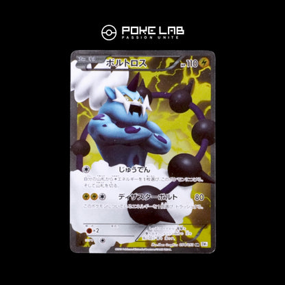 Fulguris / Thundurus EX 054/053