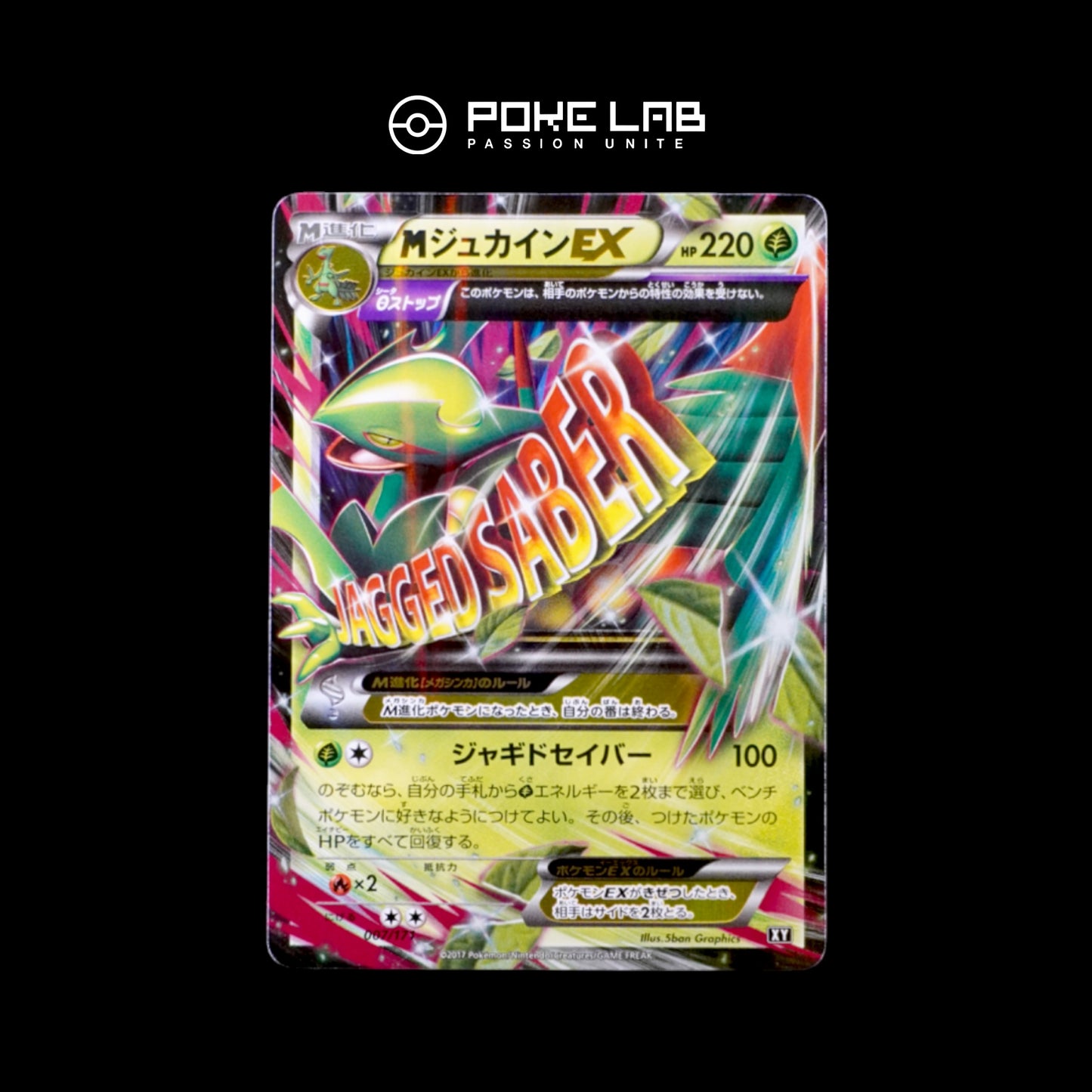 M Jungko / Sceptile EX 007/171