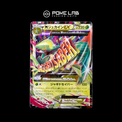 M Jungko / Sceptile EX 007/171