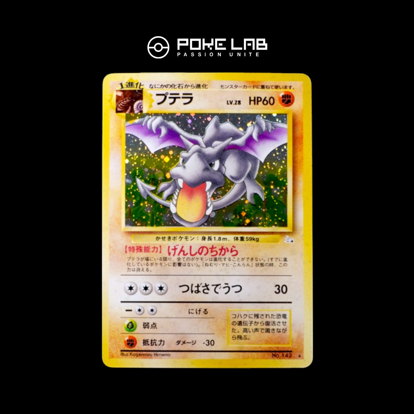 Ptéra / Aerodactyl Holo Jungle