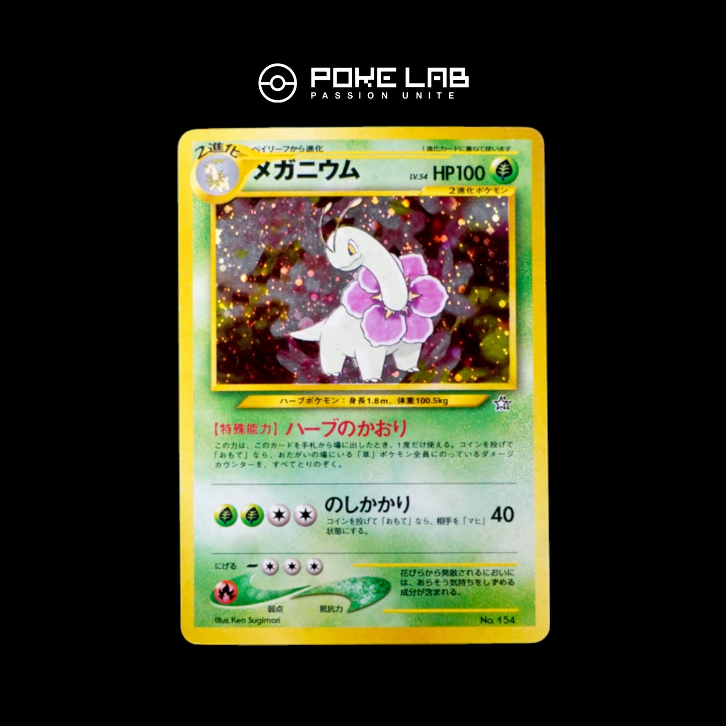 Meganium Holo NEO File