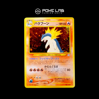 Typhlosion Holo NEO File