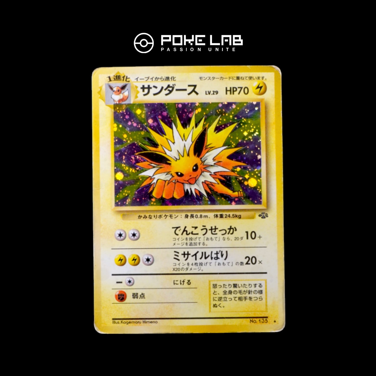 Voltali / Jolteon Holo Jungle