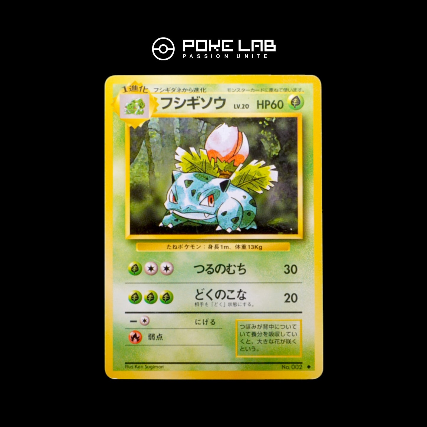 Herbizarre / Ivysaur Set de Base