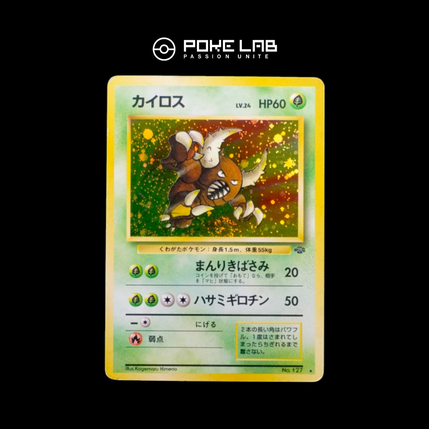 Scarabrute / Pinsir Holo Jungle