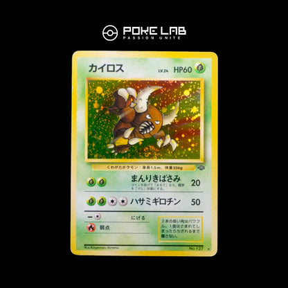 Scarabrute / Pinsir Holo Jungle