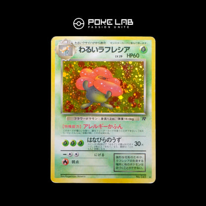 Rafflesia / Vileplume Holo Rocket