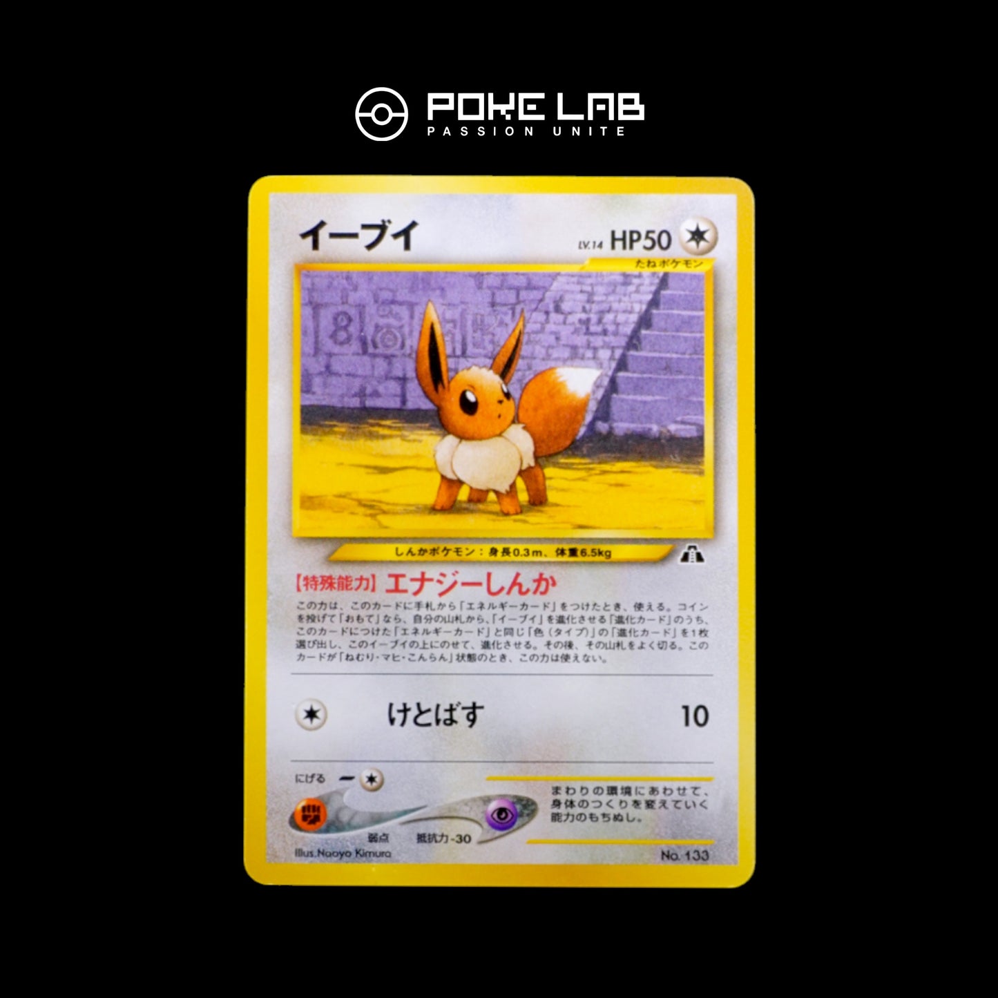 Eevee NEO File 