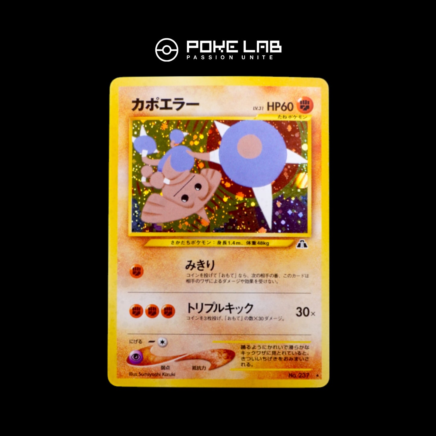 Kapoera / Hitmontop Holo NEO