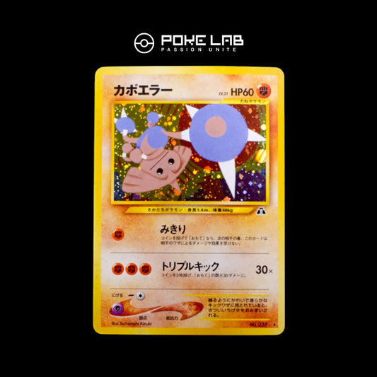 Kapoera / Hitmontop Holo NEO