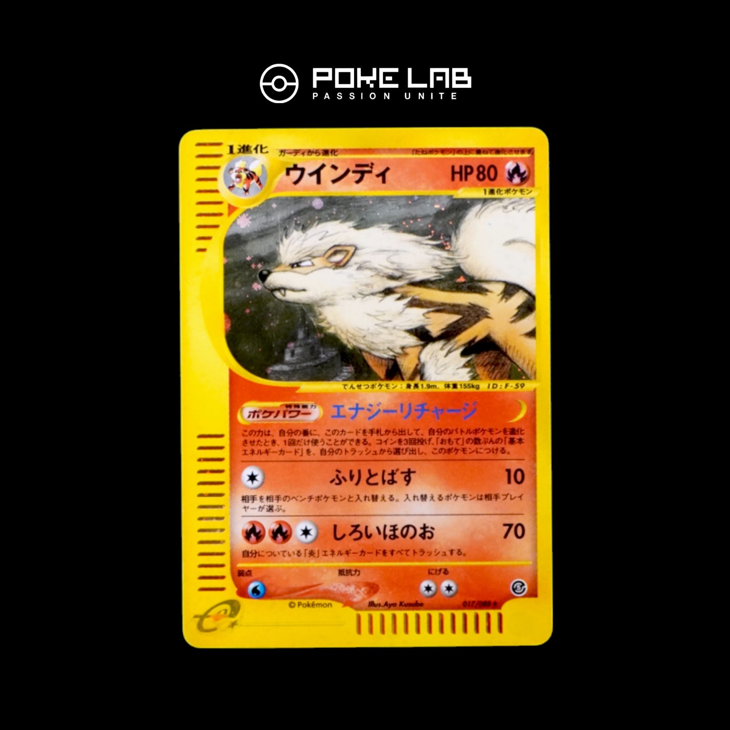 Arcanin / Arcanine Holo 017/088