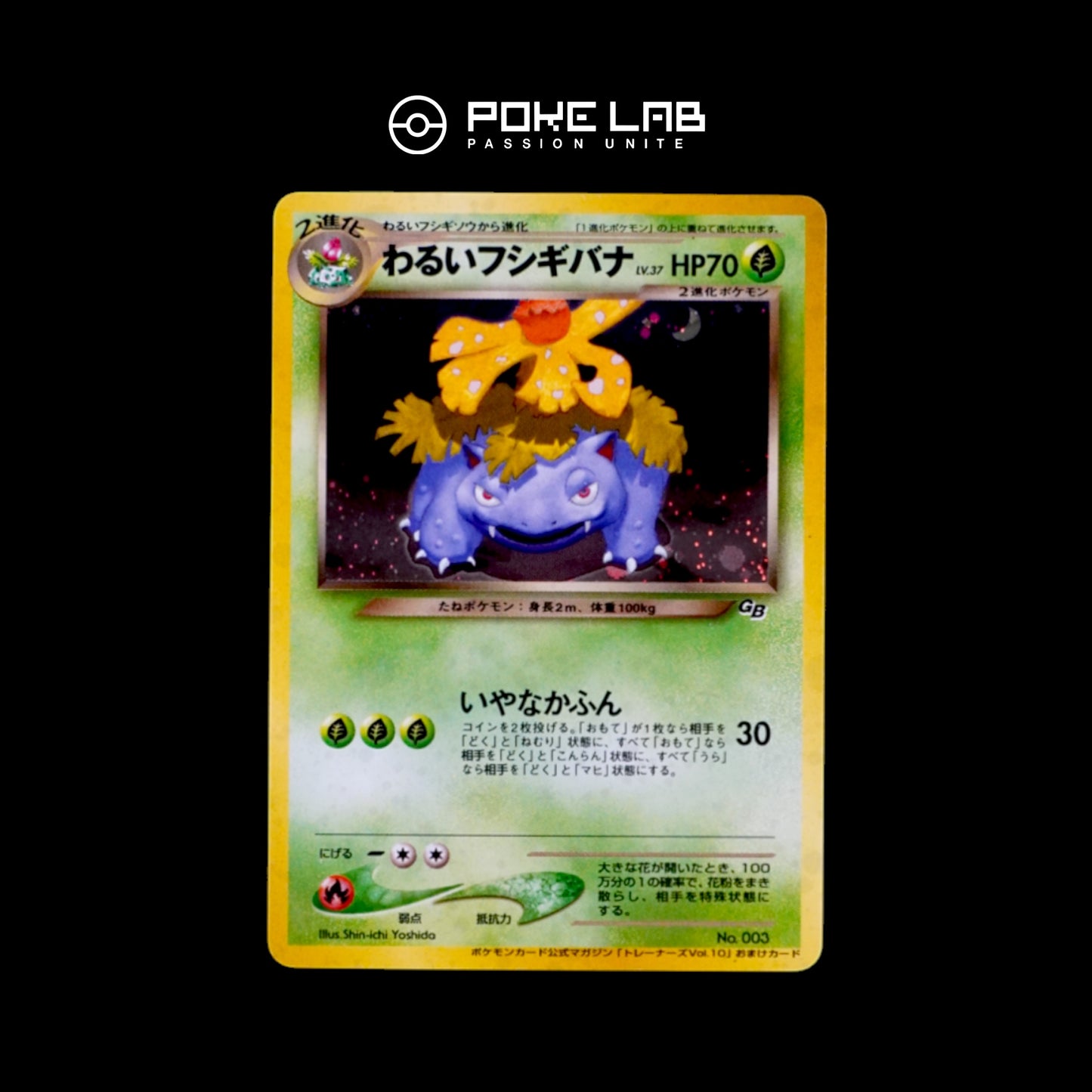 Trainers Magazine Vol.10 Florizarre Obscur / Dark Venusaur Holo GB Promo