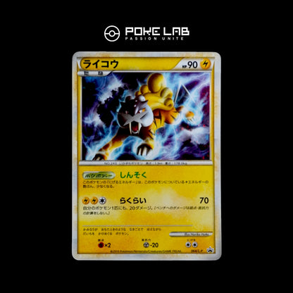 Raikou SL 064/L-P 1000