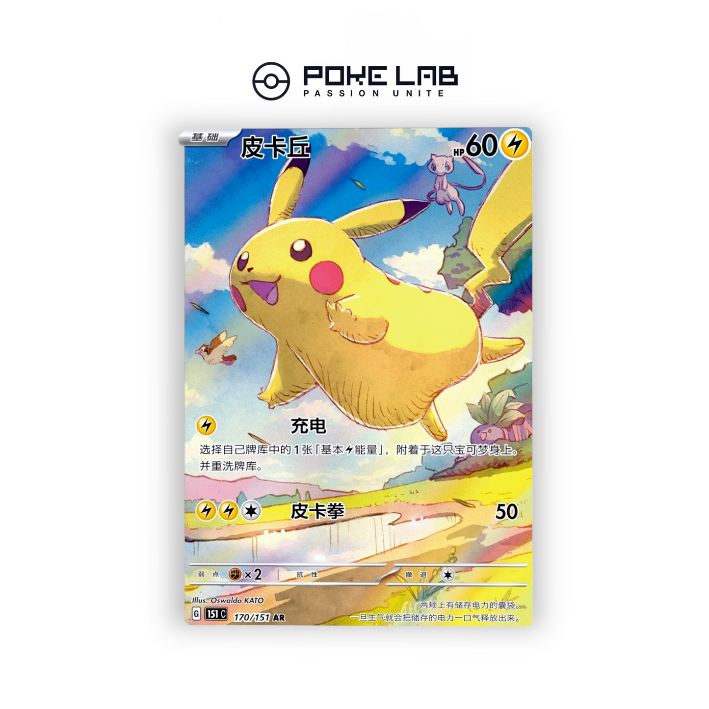 [𝗣𝗥𝗘́𝗖𝗢𝗠𝗠𝗔𝗡𝗗𝗘] Box JUMBO Collect 151 Journey - Chinois Simplifié