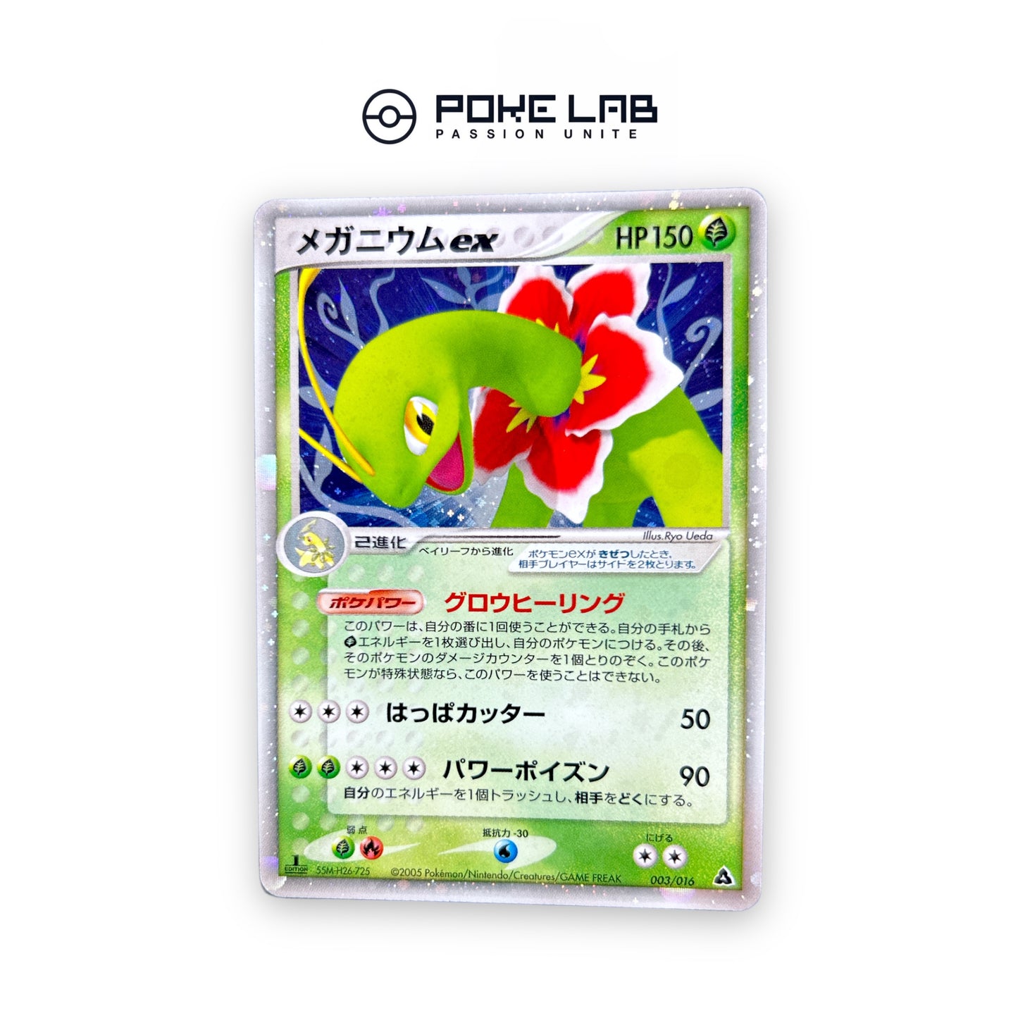 Meganium ex 003/016 1st