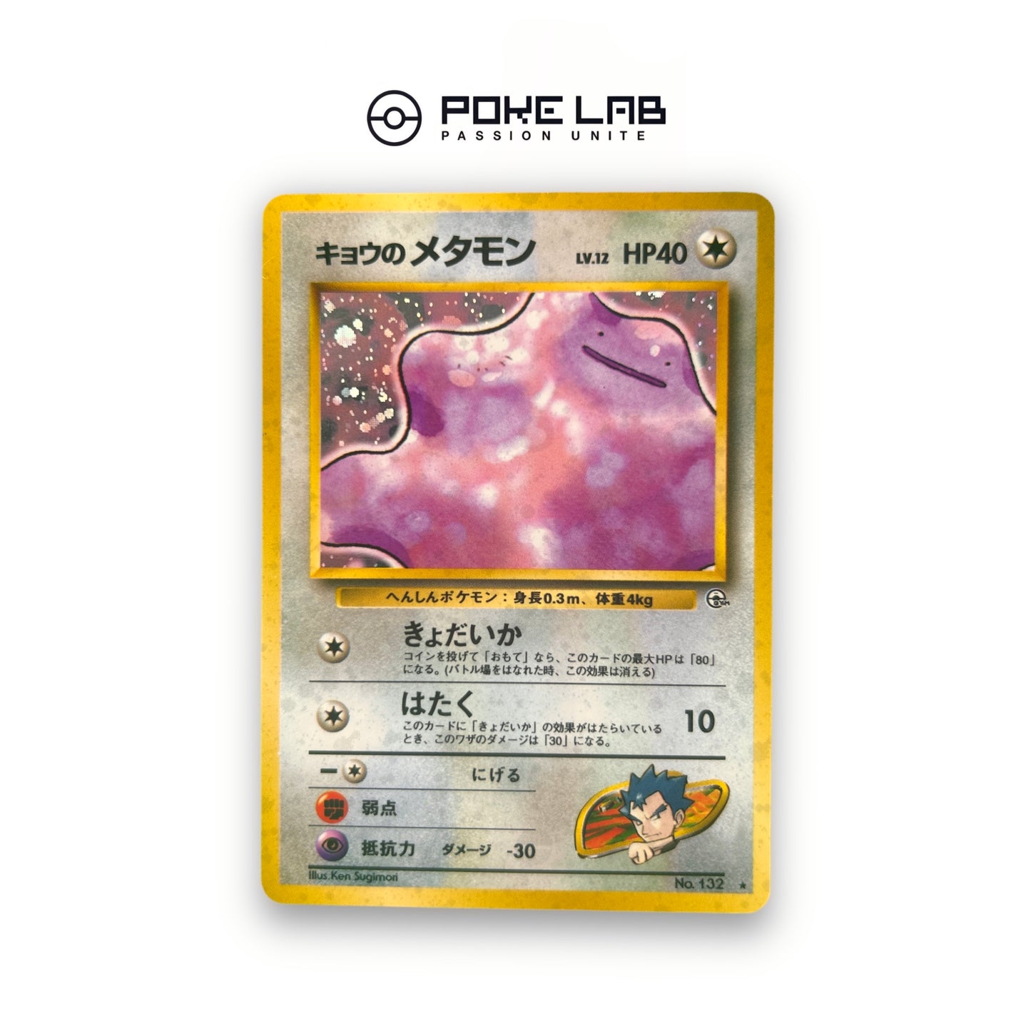 Metamorph Holo GYM