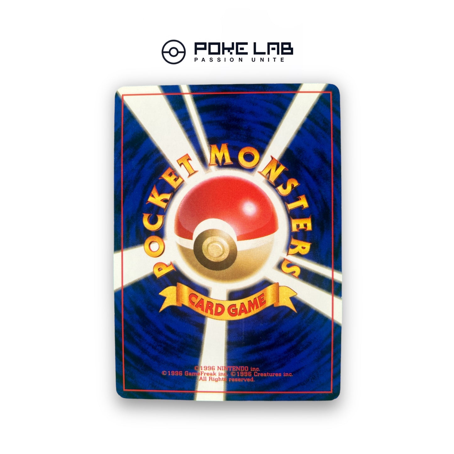 Metamorph Holo GYM