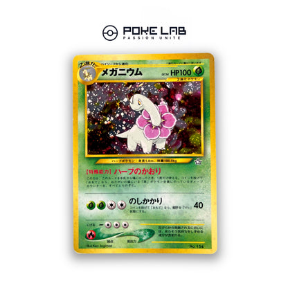 Meganium Holo NEO File