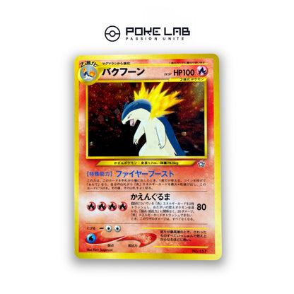 Typhlosion Holo NEO File