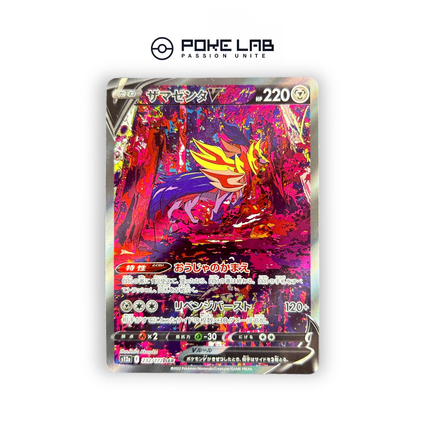 Zamazenta V 232/172