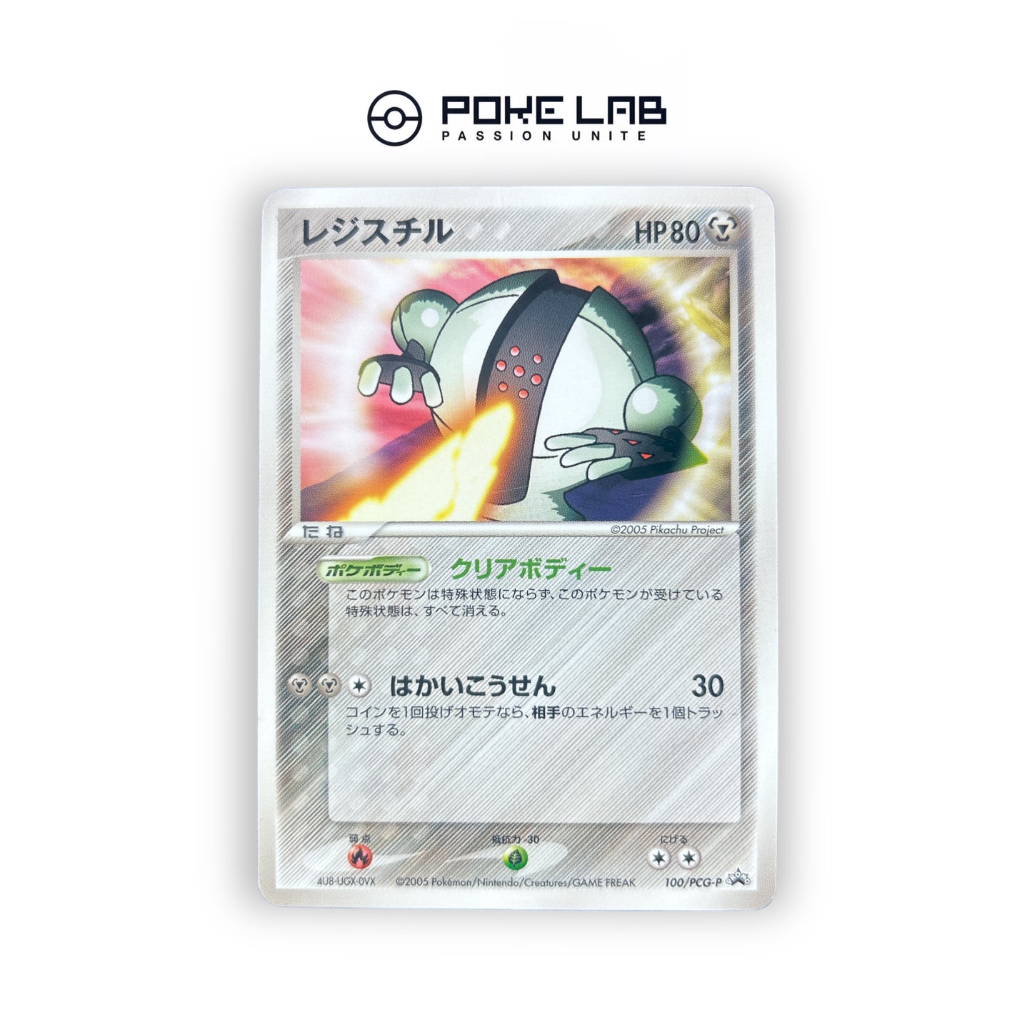 Registeel 100/PCG-P