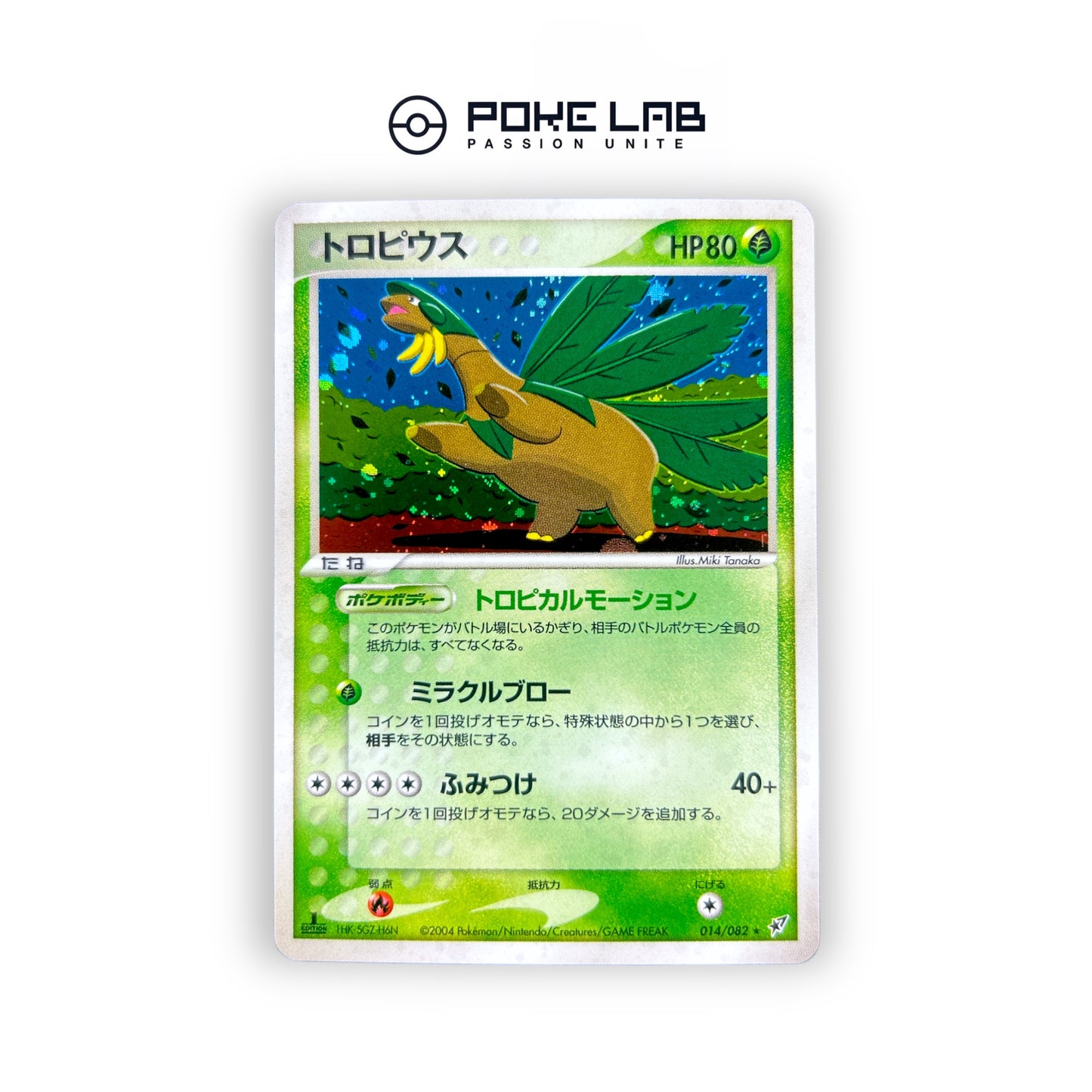 Tropius Holo 014/082 1st