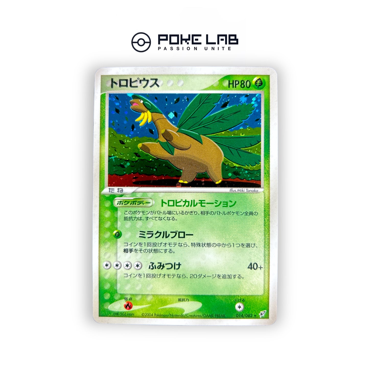 Tropius Holo 014/082