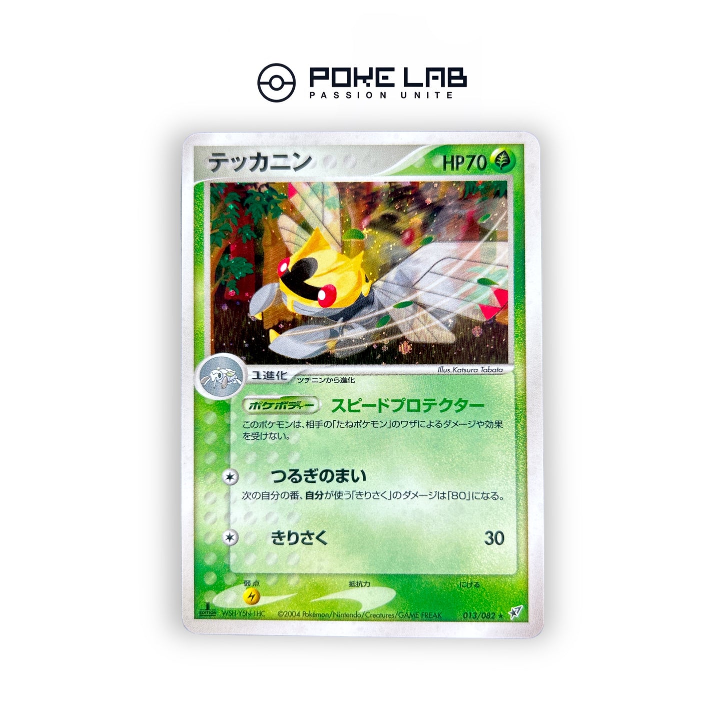 Ninjask Holo 013/082 1st