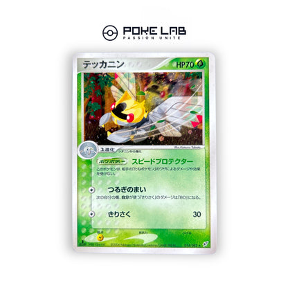 Ninjask Holo 013/082 1st