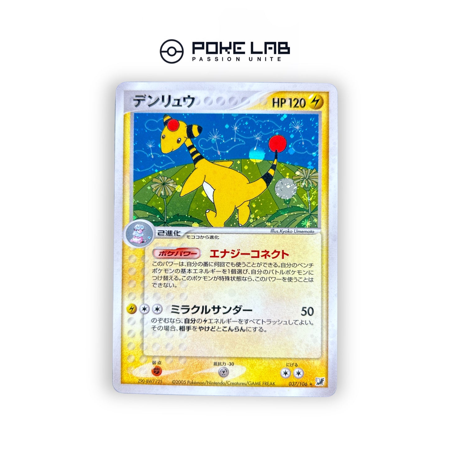 Pharamp Holo 037/106