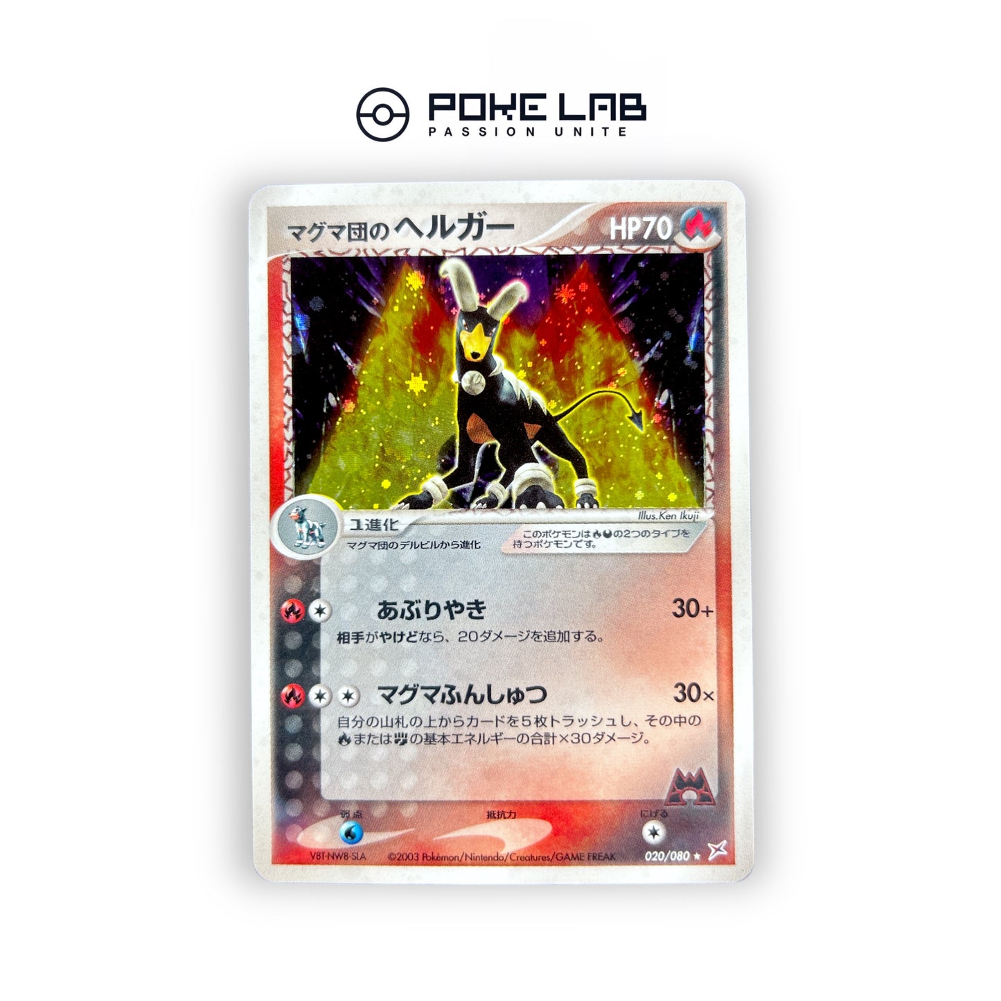 Démolosse Team Magma Holo 020/080