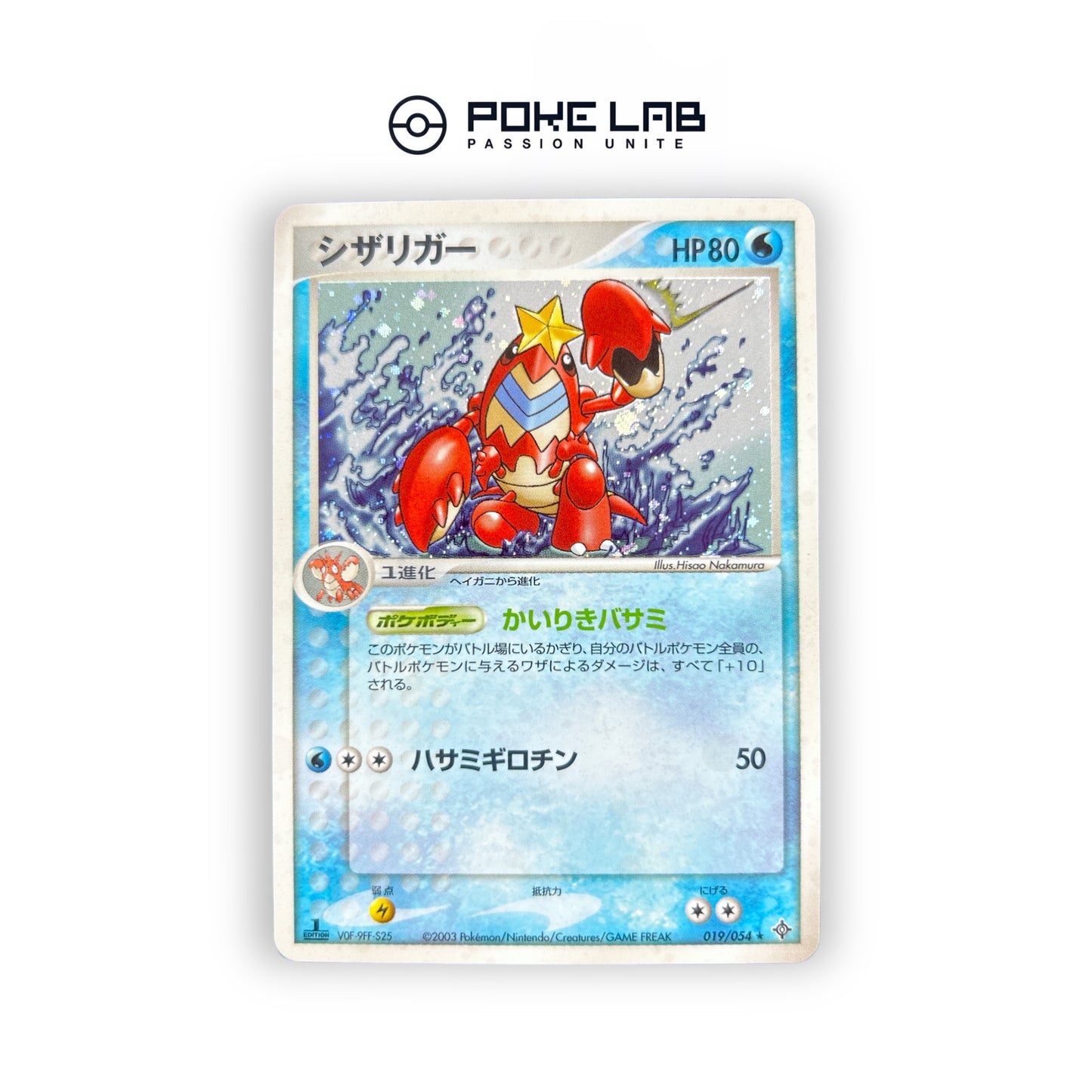 Colhomard Holo 019/054 1st