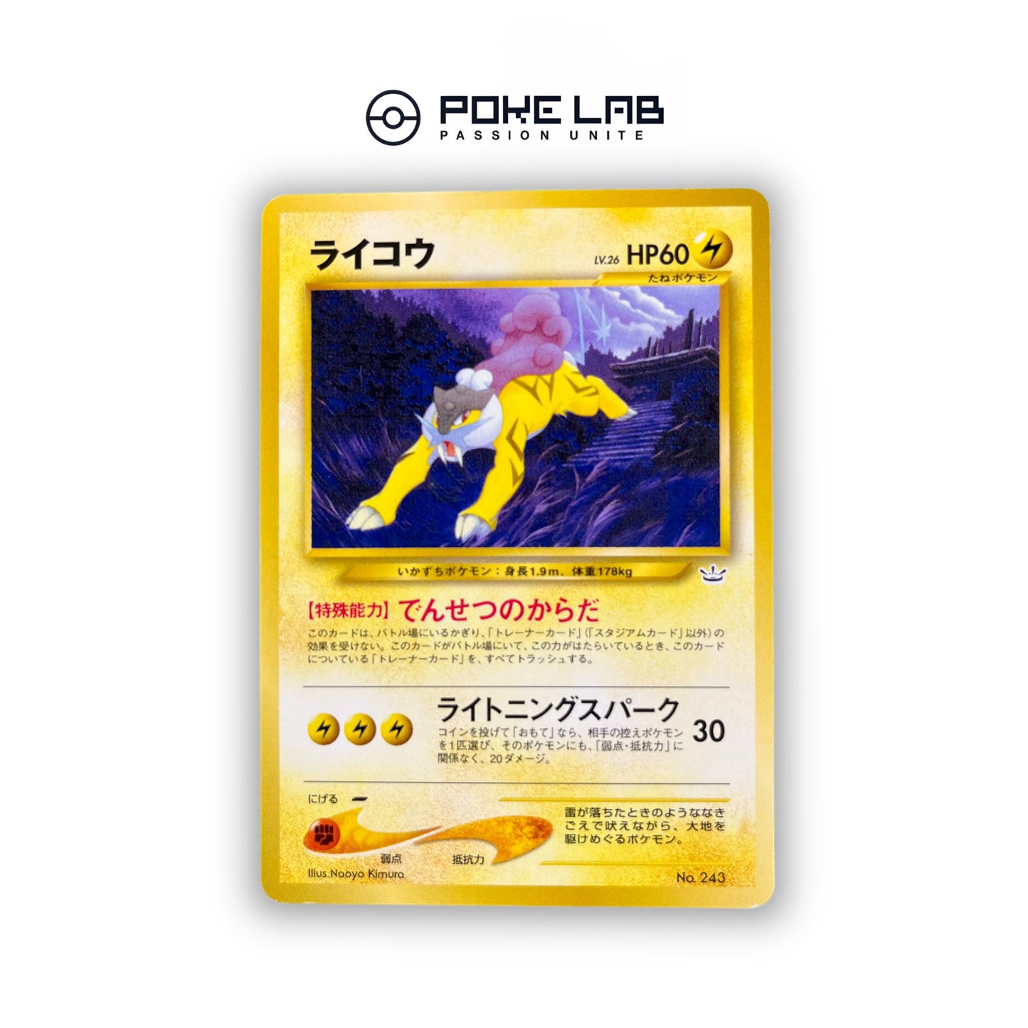 Raikou NEO File