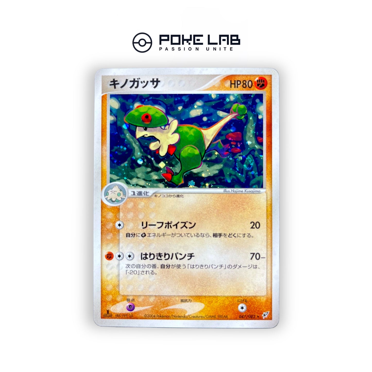 Chapignon Holo 047/082 1st