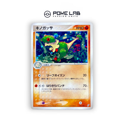 Chapignon Holo 047/082