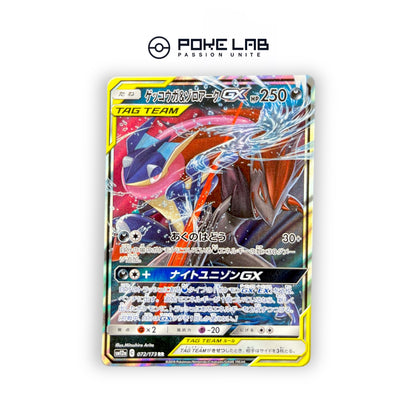 Amphinobi & Zoroark Tag Team GX 072/173