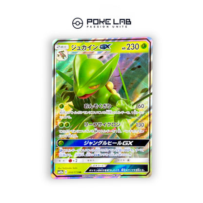 Jungko GX 010/173