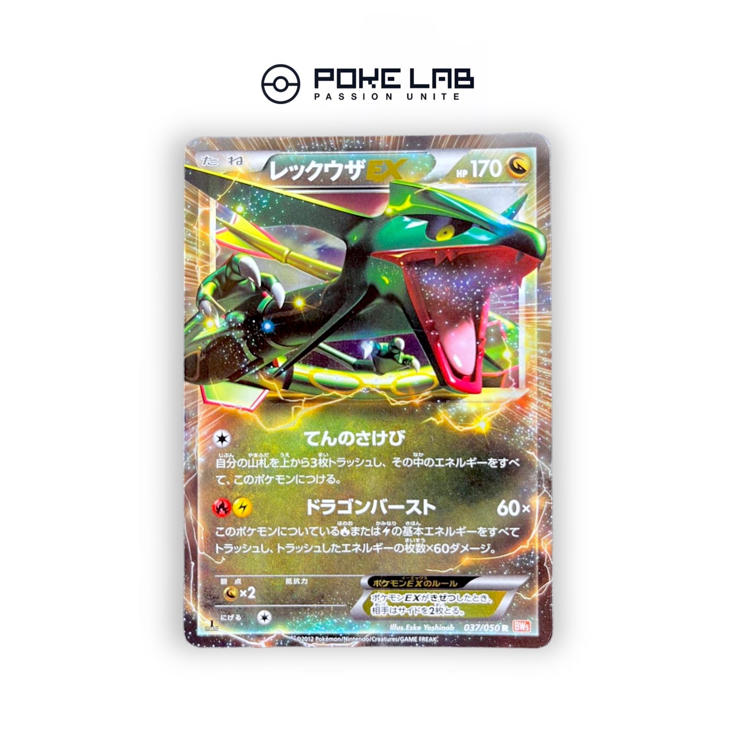 Rayquaza EX 037/050 1st