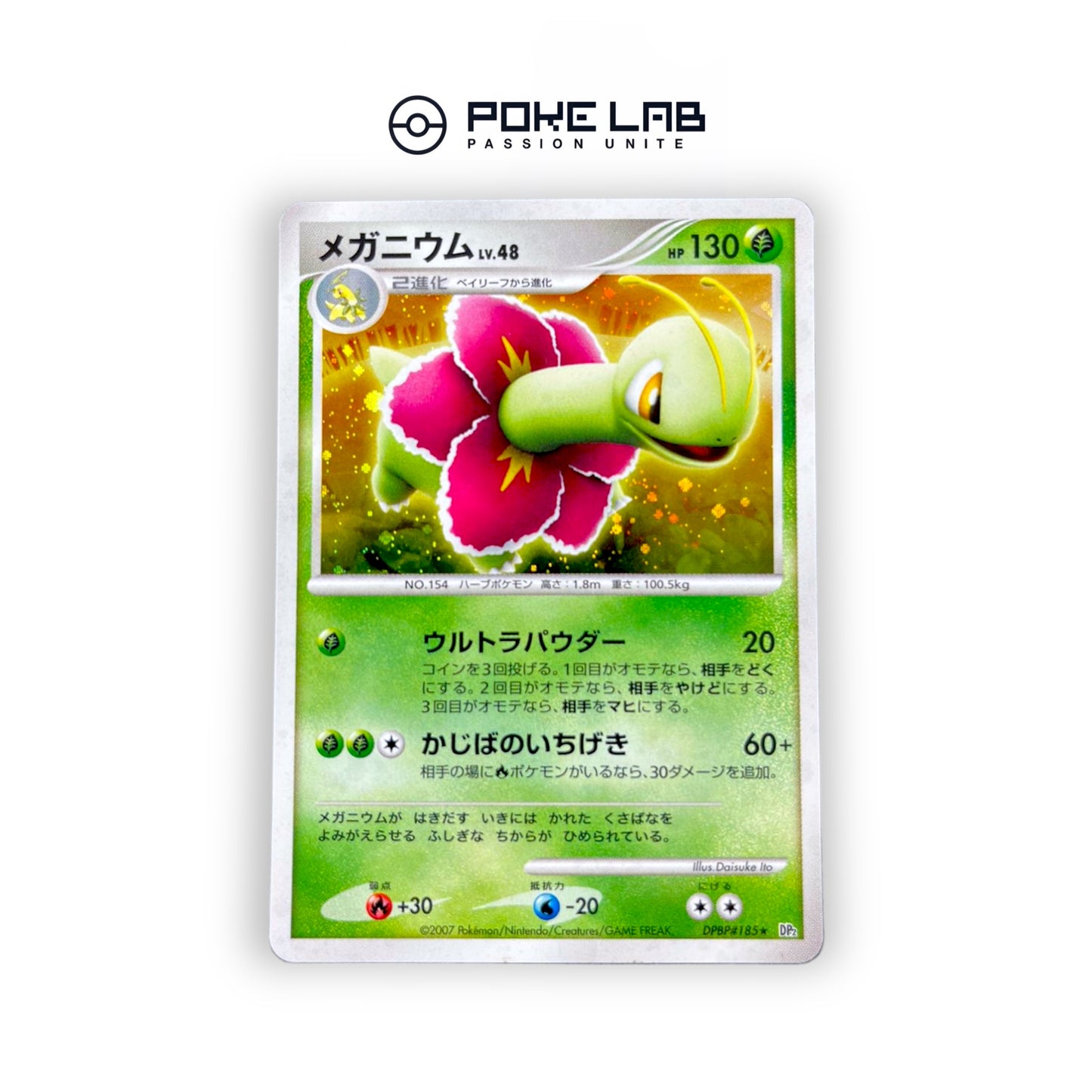 Meganium Holo DPBP#185