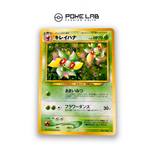 Joliflor Holo NEO