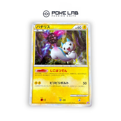 Pachirisu Holo 012/040