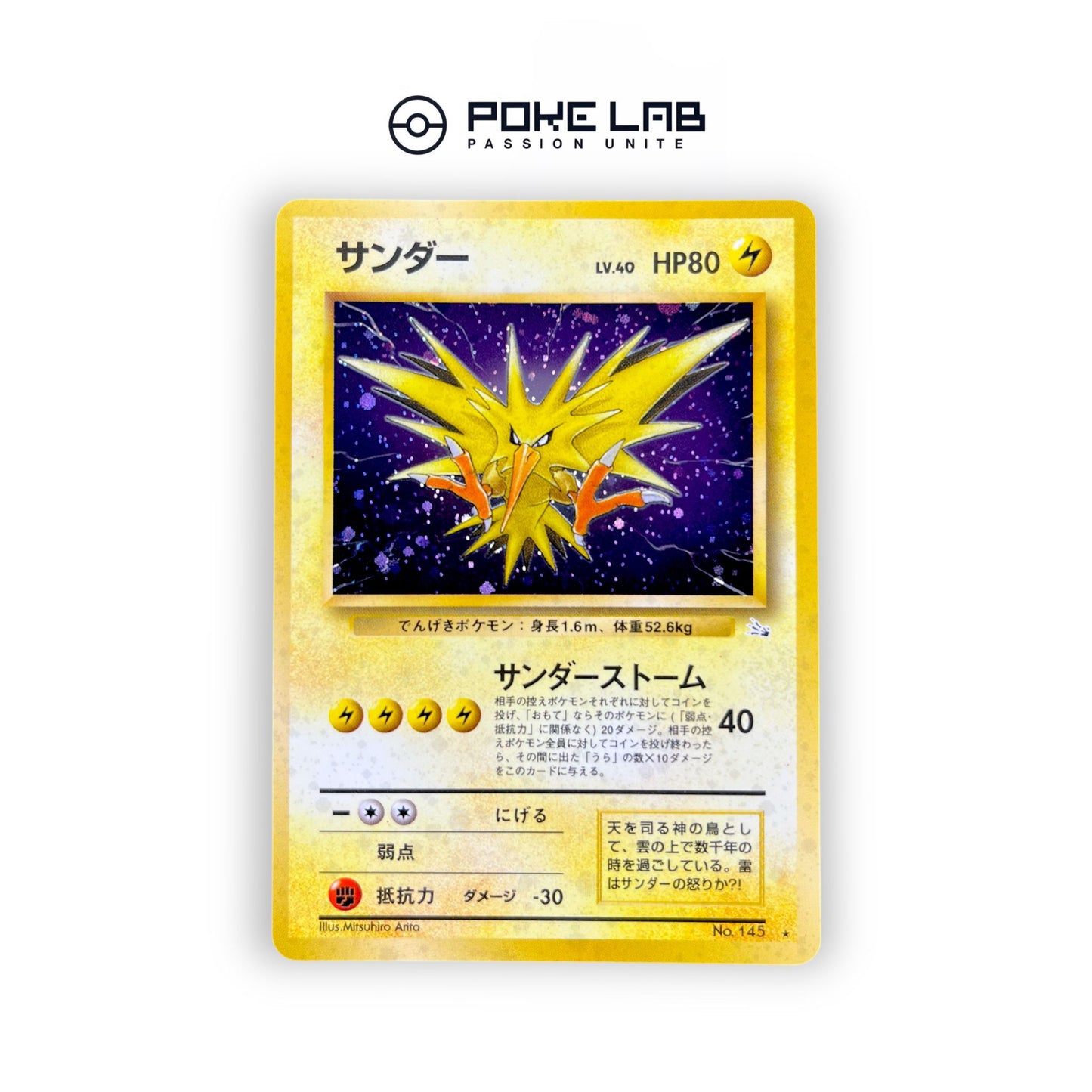 Electhor / Zapdos Holo Fossile